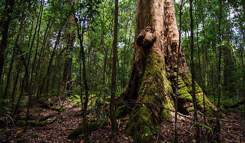 Rocky Crossing Walk - Attractions 1