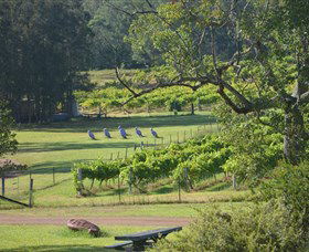 Wollombi Wines - Attractions 8