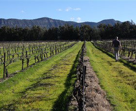 Around Hermitage Wine And Food Trail Hunter Valley - Attractions 1