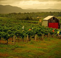 Around Hermitage Wine and Food Trail Hunter Valley - Attractions