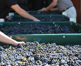 Around Hermitage Wine And Food Trail Hunter Valley - Attractions 6