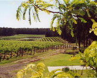 Tintilla Estate
