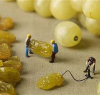 Hunter Valley Wine School - Attractions