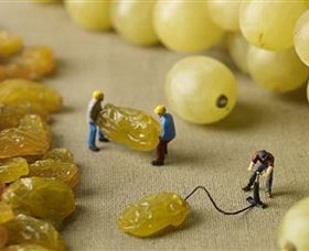 Hunter Valley Wine School - Attractions 0