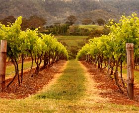 Hunter Valley Wine School - Attractions 1
