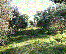 Langdale Farm - Attractions