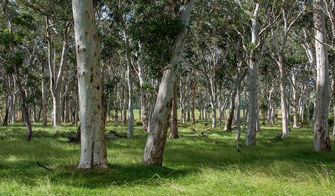 Coast To The Highlands Scenic Drive â€“ Kangaroo Valley - Attractions 1