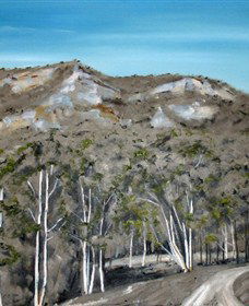 Greg Wilson Gallery - Attractions 2