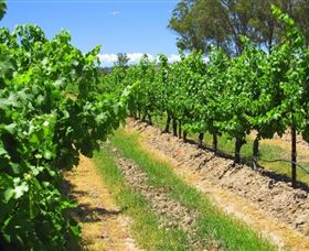 Misty Glen Wines And Cottage - Attractions 1