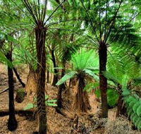 Pegarah Private Nature Reserve  Parenna Place - Attractions
