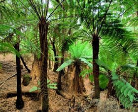 Pegarah Private Nature Reserve & Parenna Place - Attractions 0