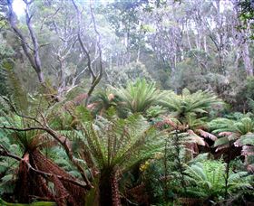 Pegarah Private Nature Reserve & Parenna Place - Attractions 1