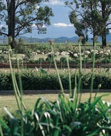 Vinden Estate Wines - Attractions 1
