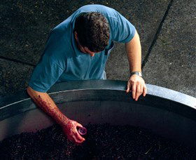 Calais Estate Wines - Attractions 2