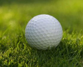 Collier Park Golf Course - Attractions 0