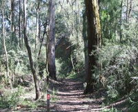 Box Vale Mine Walking Track and Lookout
