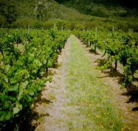 Gartelmann Wines - Attractions