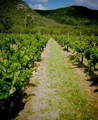 Gartelmann Wines