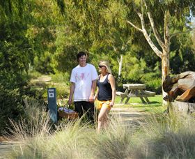 Sale Common Wetlands Walk - Attractions 0