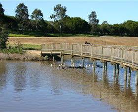 Sale Common Wetlands - Attractions 0