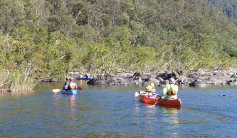 Nymboida National Park - See Attractions 1