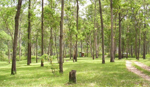 Nymboida National Park - See Attractions 2