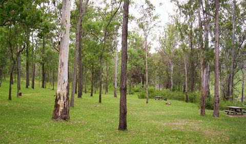 Nymboida National Park - See Attractions 3