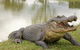 Hunter Valley Zoo - thumb 1