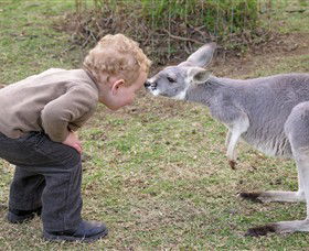 Hunter Valley Zoo - Attractions 3
