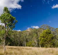 Brush Turkey track - Attractions