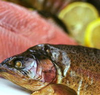 Lovedale Smokehouse Gourmet Pantry Cafe and Masterclasses - Attractions