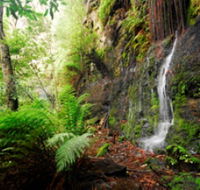 Fairy Bower Falls - Attractions