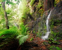 Fairy Bower Falls