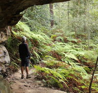 Dharug National Park - Attractions