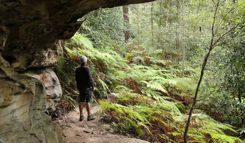 Dharug National Park - Attractions 0