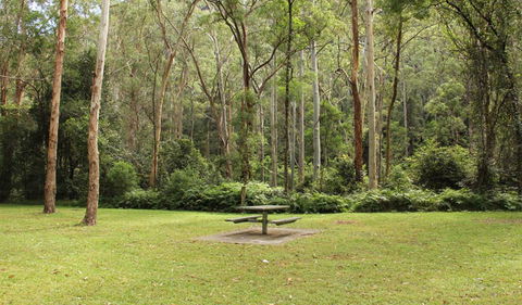 Dharug National Park - Attractions 3