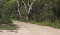 Riverview walking track