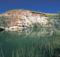 Ellendale Pool - Attractions