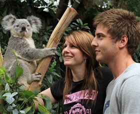 Featherdale Wildlife Park - Attractions 0