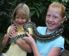 Featherdale Wildlife Park - Attractions 2