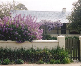 Lambie Town Walk - See Attractions 4