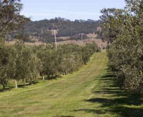 Bunna Bunoo Olive Grove - Attractions 1