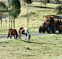 Calmsley Hill City Farm - Attractions