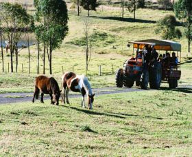 Calmsley Hill City Farm - Attractions 0