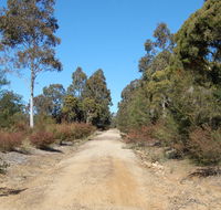 Werakata National Park - Attractions