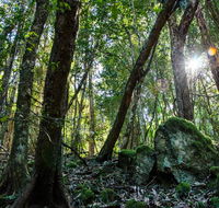 Copeland Tops State Conservation Area - Attractions