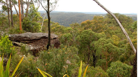 Popran National Park - Attractions 3