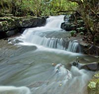 Jerusalem Creek trail - Attractions