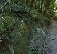 Hidden Treasure track - Attractions