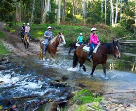 Glenworth Valley Horse Riding - Attractions 1